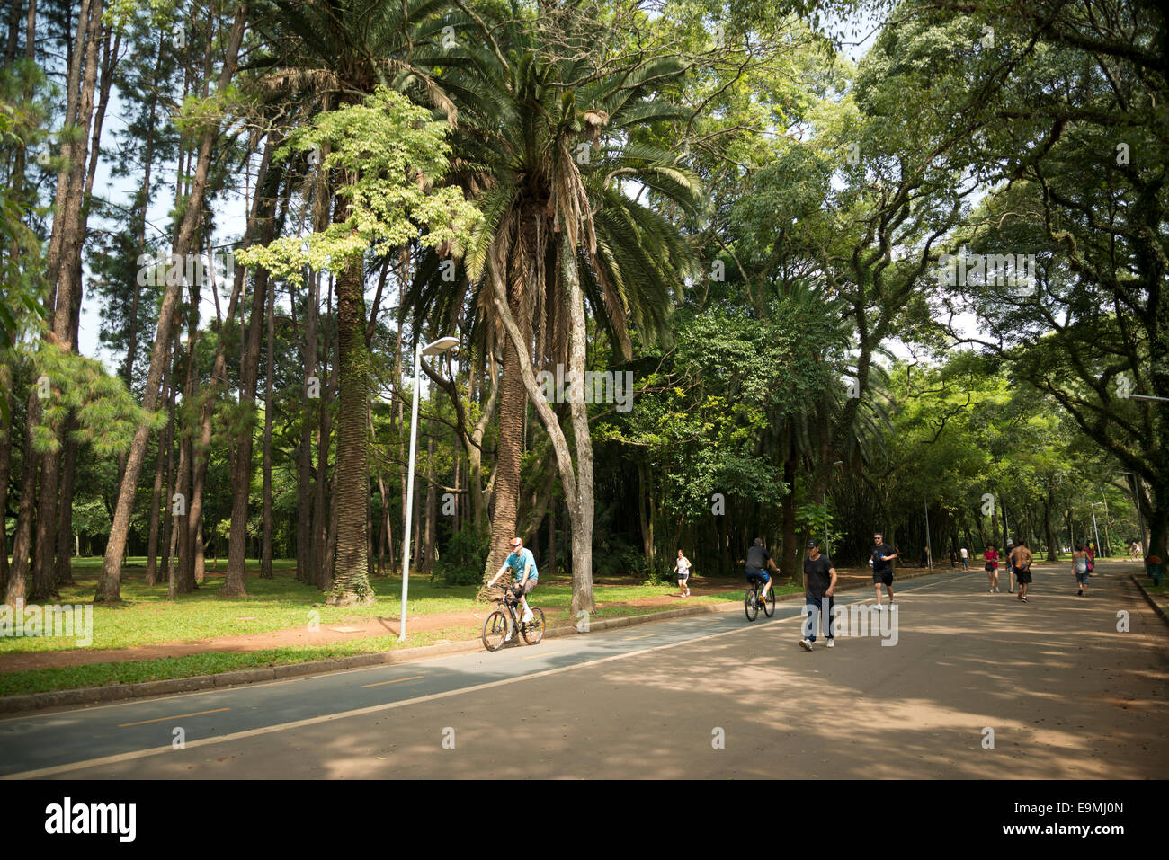 Ibirapuera Park, Sao Paulo, Brazil. Stock Photo