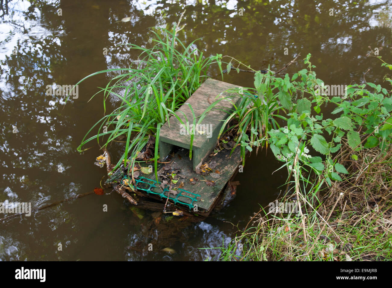 Box to record animal signs River Glaven Norfolk UK Stock Photo