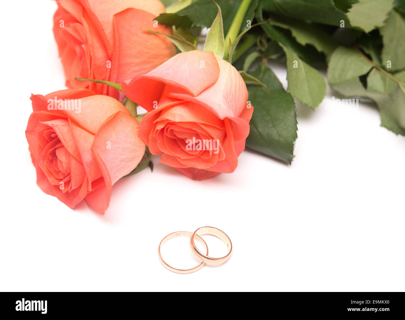 Two Red Roses Wedding Rings High Resolution Stock Photography and ...