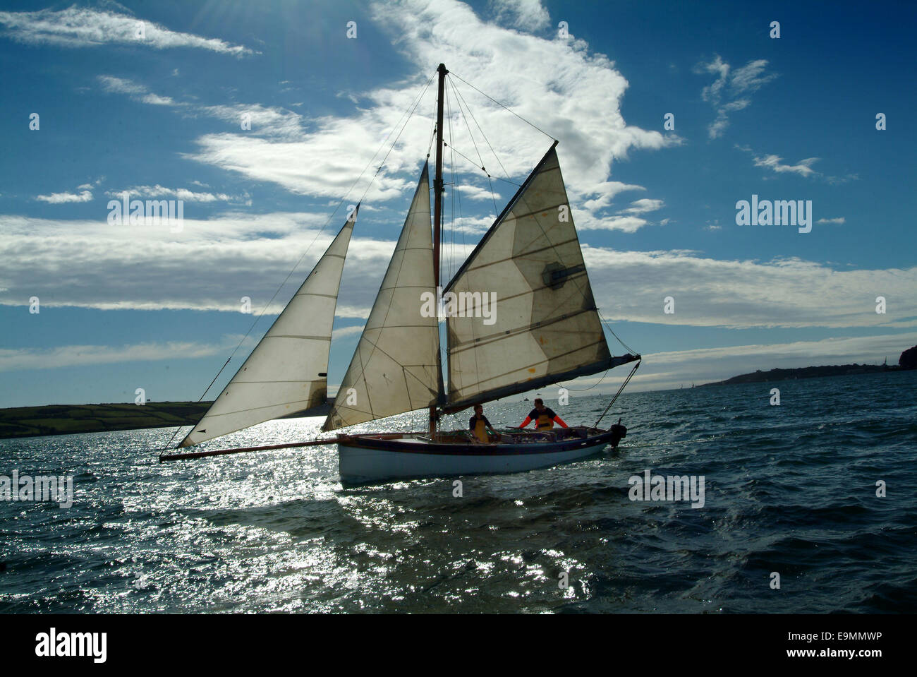 Traditional Falmouth Oyster Working Boats fishing in the Fal Estuary