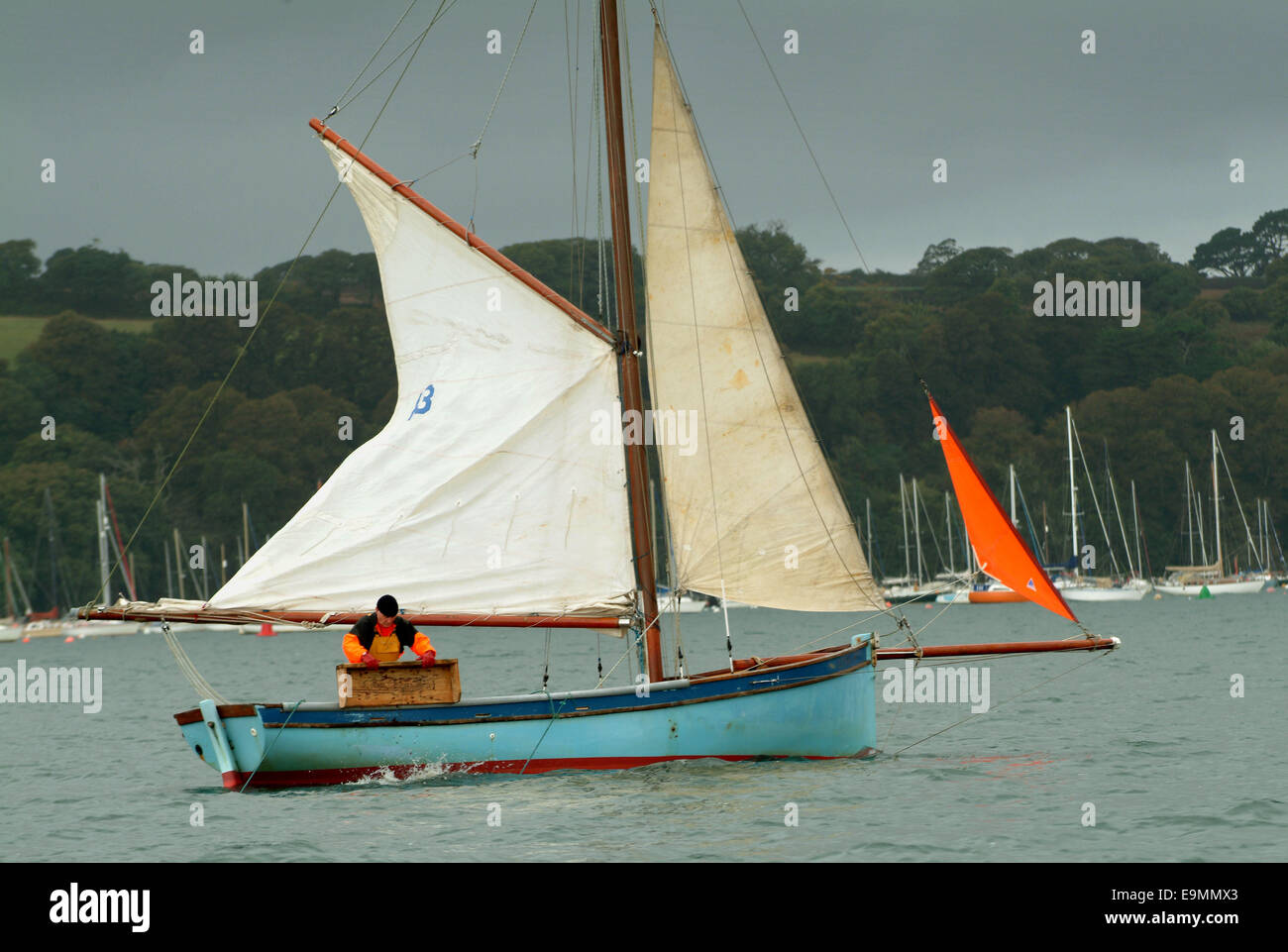 Traditional Falmouth Oyster Working Boats fishing in the Fal Estuary