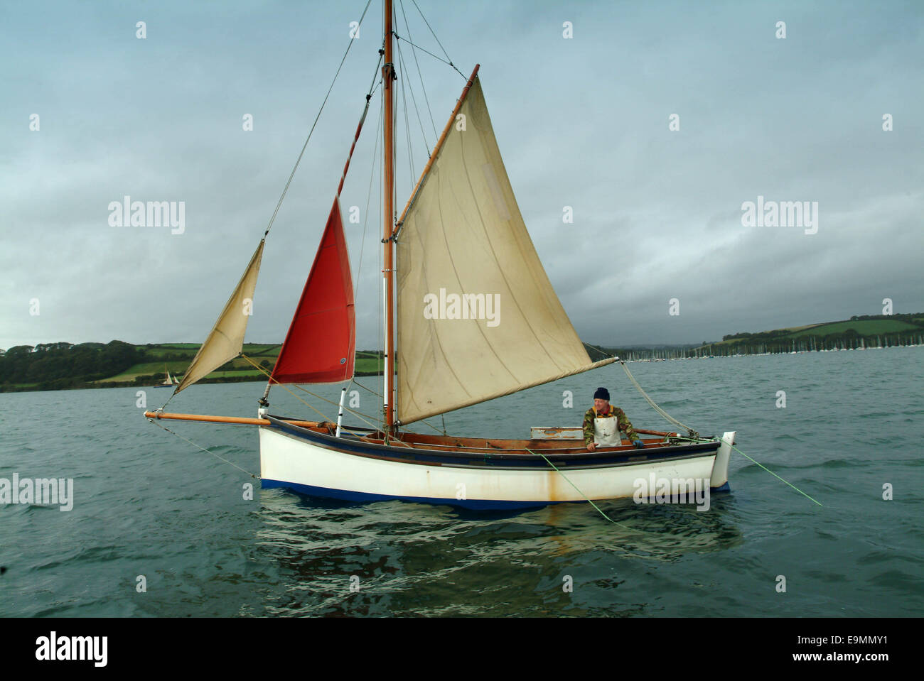 Traditional Falmouth Oyster Working Boats fishing in the Fal Estuary