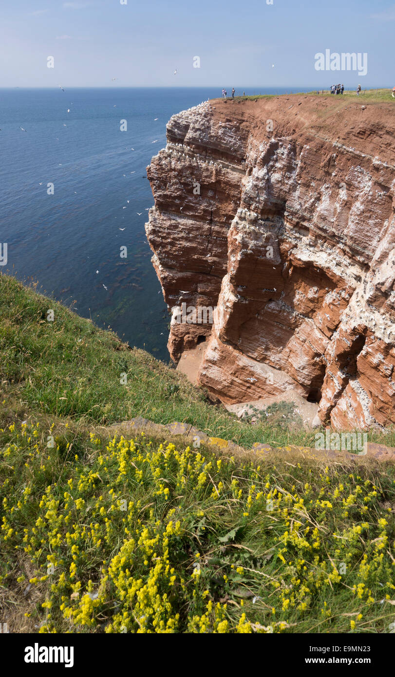 Helgoland German island with red sandstone cliffs. Stock Photo