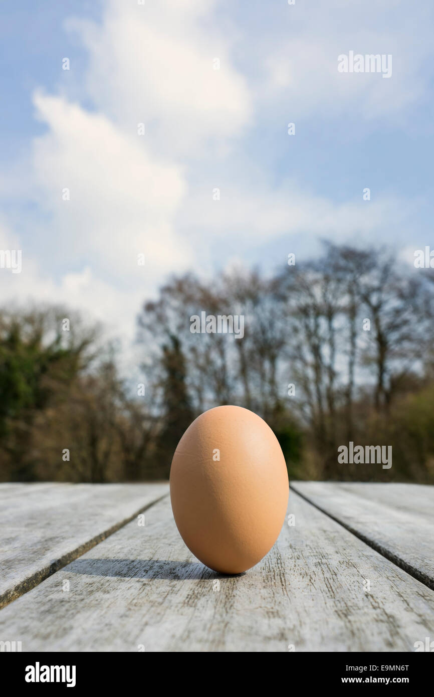 A free range egg balancing on a wooden table top outdoors. Stock Photo