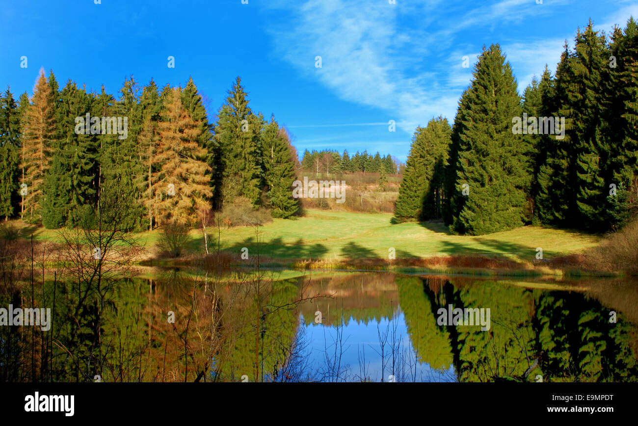 Forest with a lake hi-res stock photography and images - Alamy