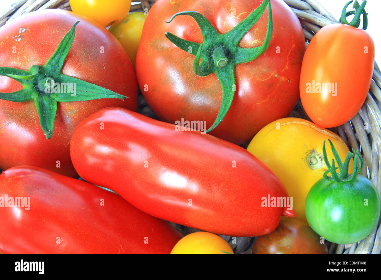 Various tomato cultivars Stock Photo