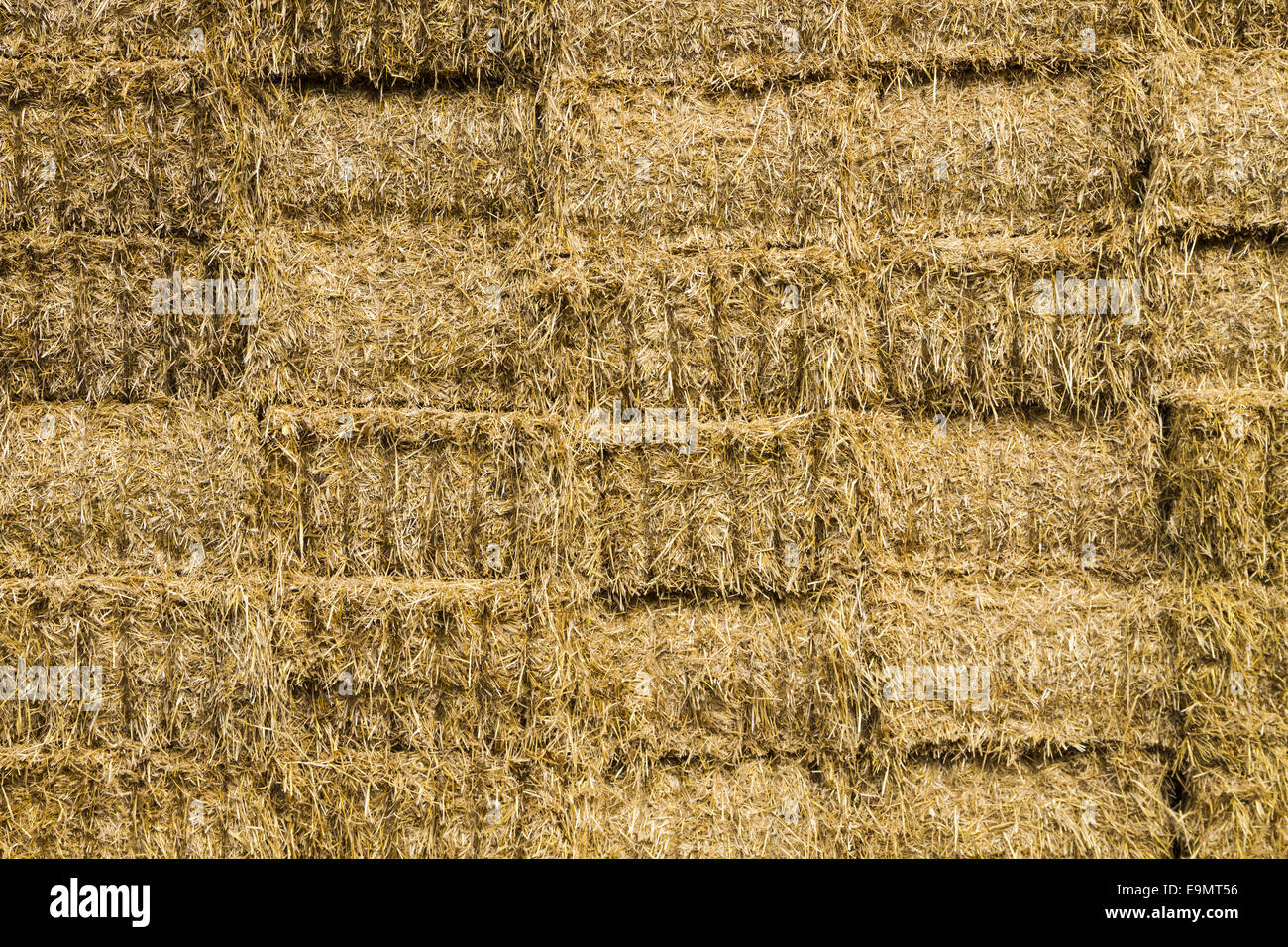 bales of straw Stock Photo Alamy