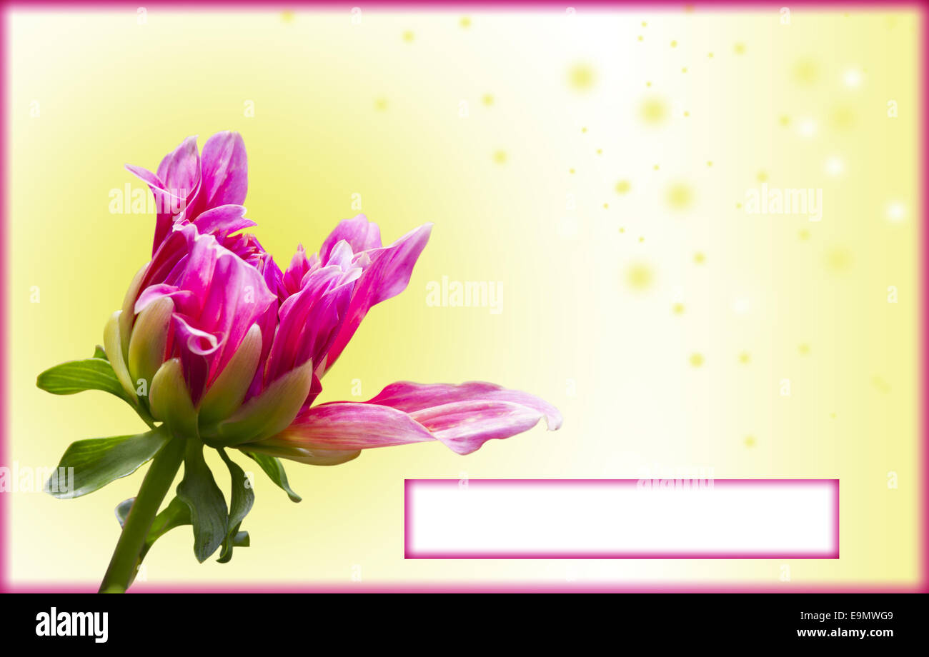 card Stock Photo