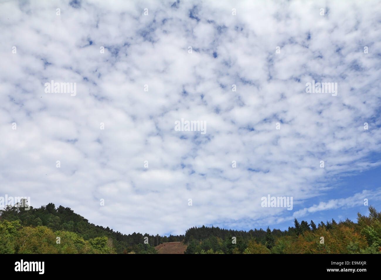 Huge cloudy sky Stock Photo