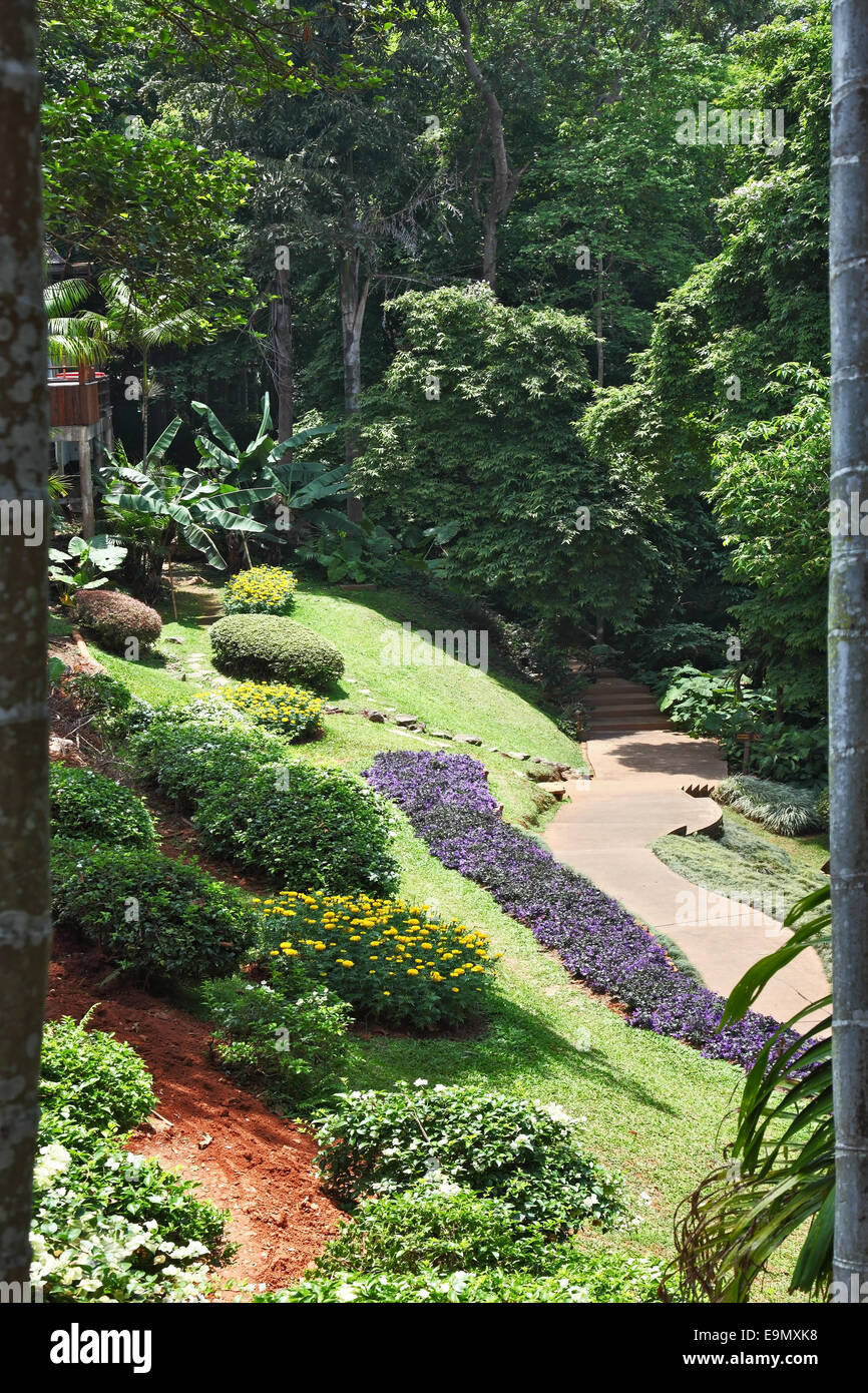 Tropical flower beds hi-res stock photography and images - Alamy