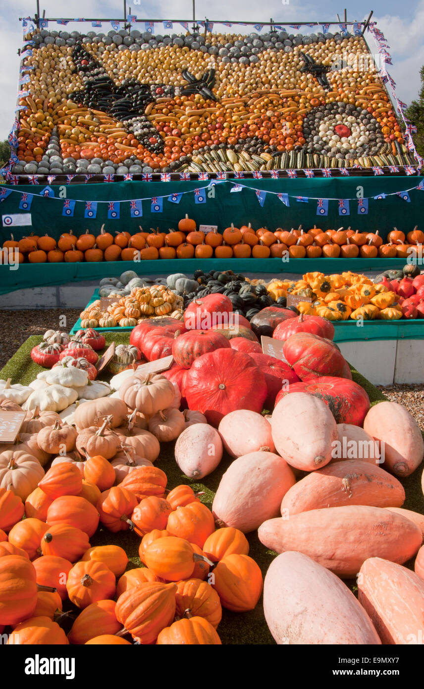 display of pumpkin squash varieties, Slindon Farm, West Sussex Stock Photo