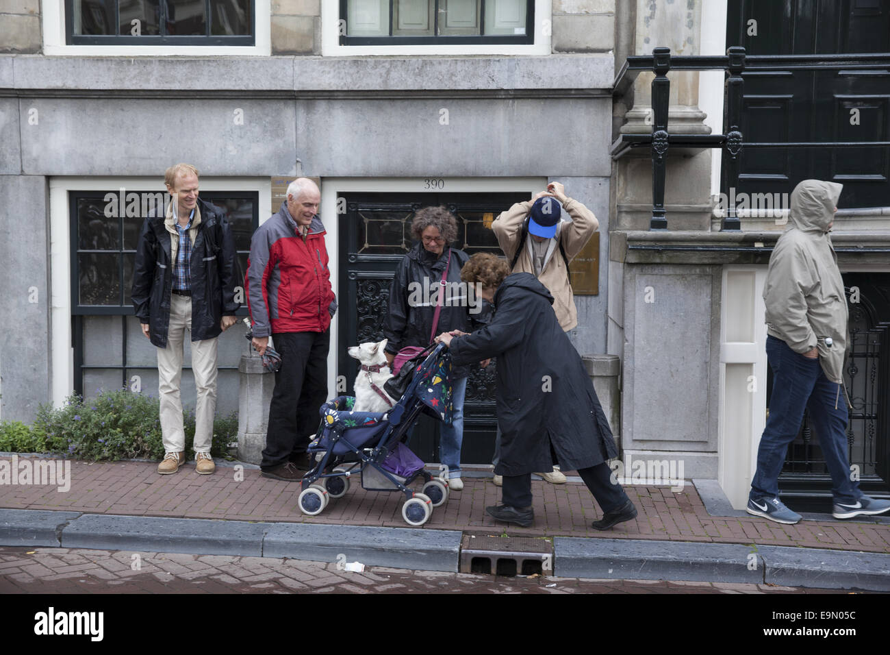 Woman pushes her dog in a stroller along a street in Central Amsterdam, Netherlands. Stock Photo