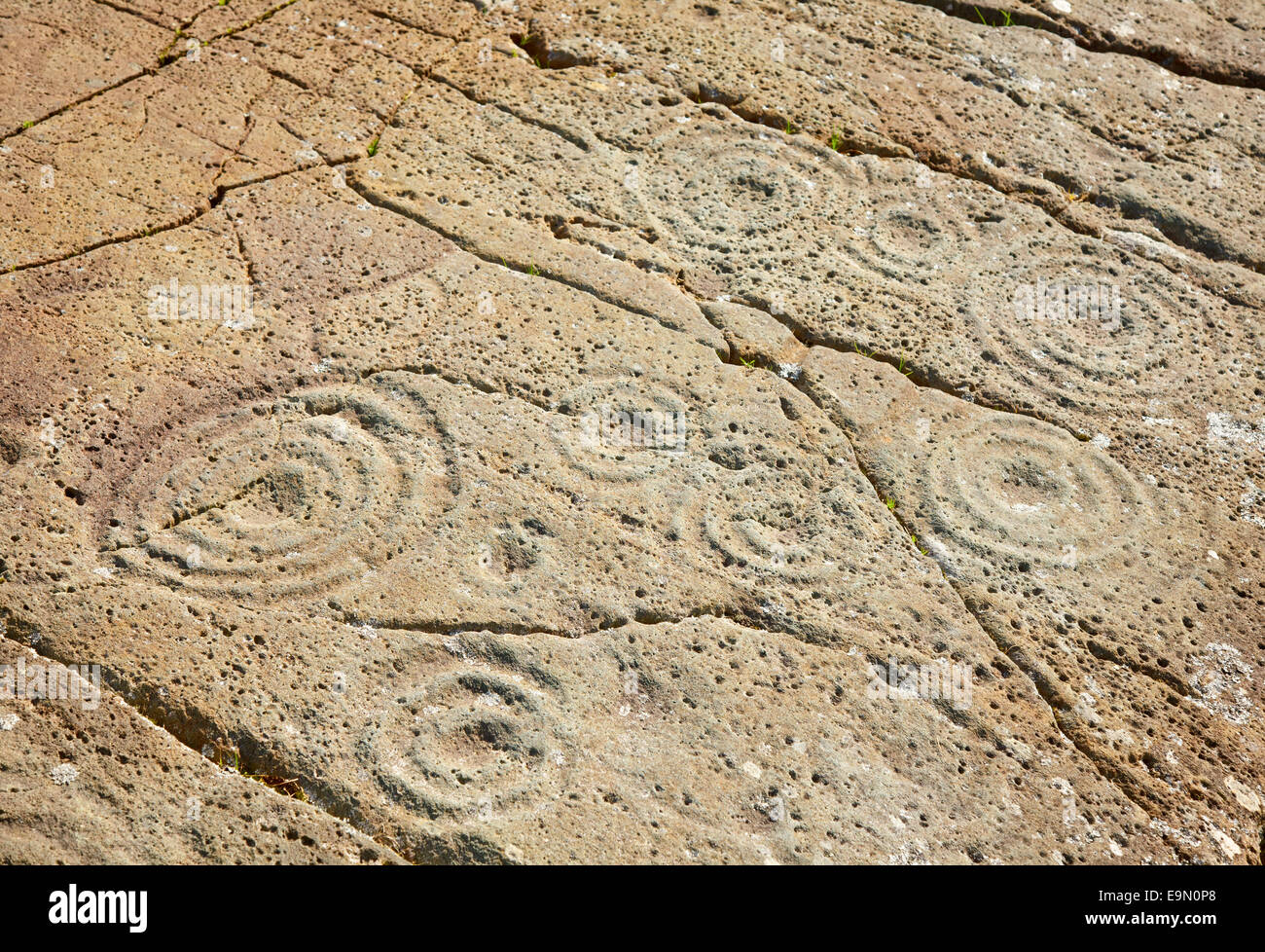 Cup and ring marks on a stone near Cairnbaan in Scotland Stock Photo