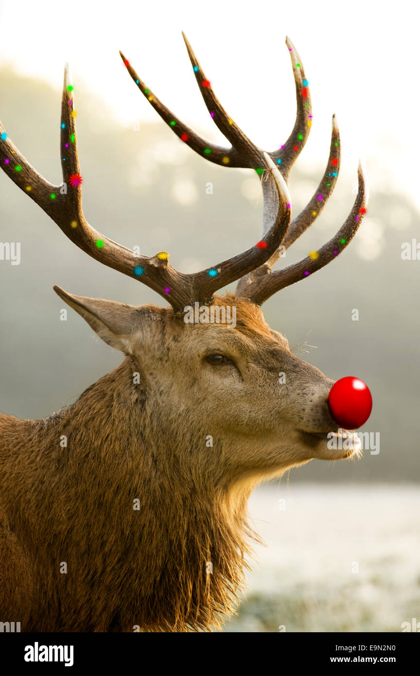 Reindeer antlers and red nose sale