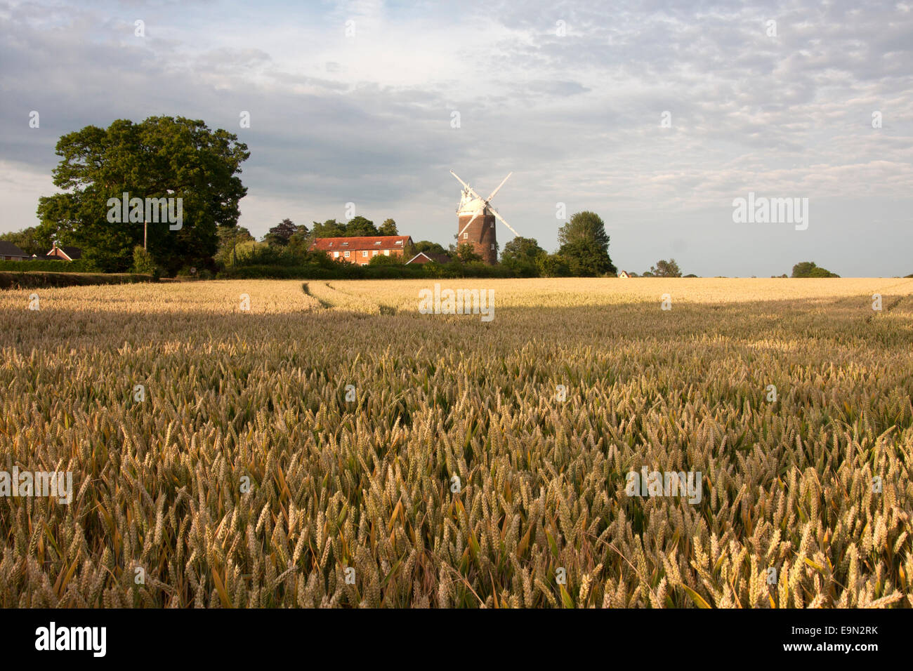 Old Buckenham mill, Norfolk Stock Photo Alamy