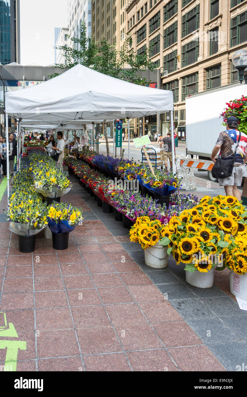Street market, Nicollet Mall, Minneapolis, Minnesota, USA Stock Photo