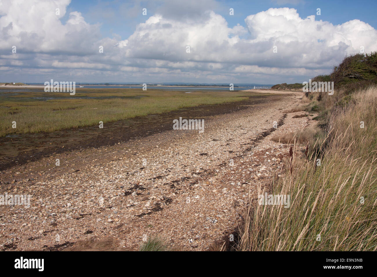 Roman landing chichester hires stock photography and images Alamy