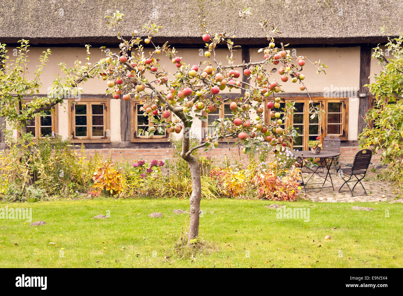 House in Fischland in Germany Stock Photo - Alamy