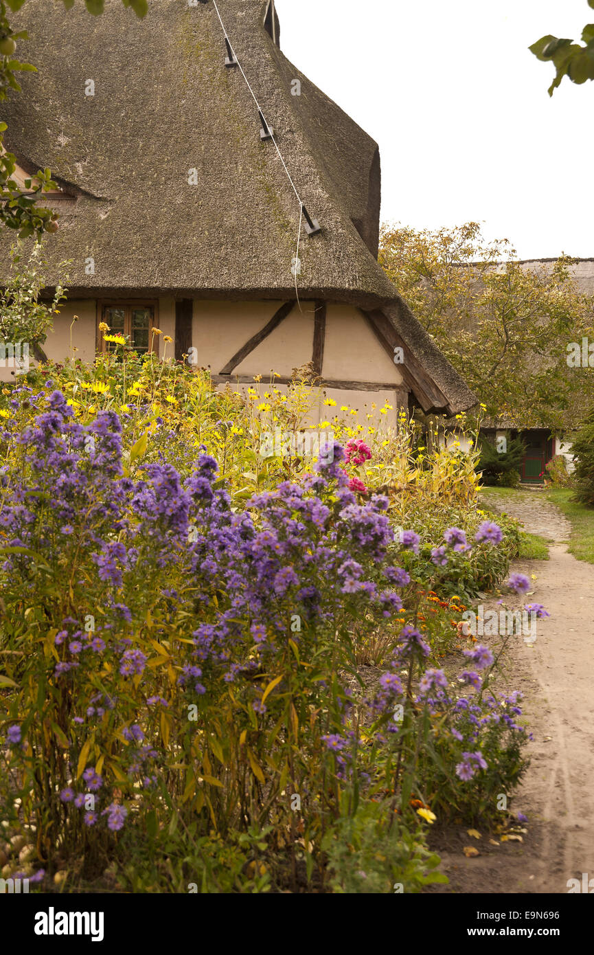 House in Fischland in Germany Stock Photo - Alamy
