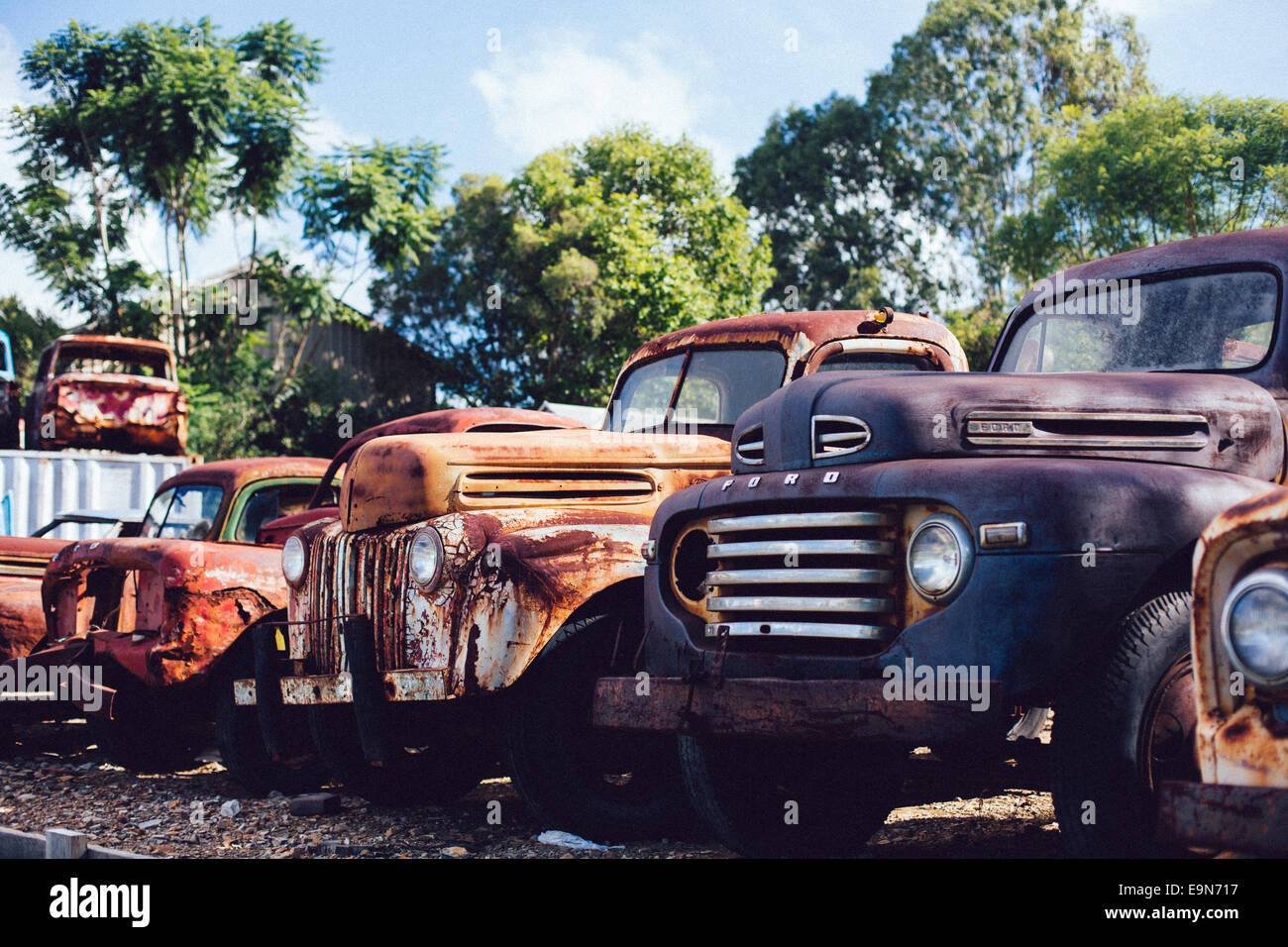 Junkyard with old vans, Australia Stock Photo Alamy