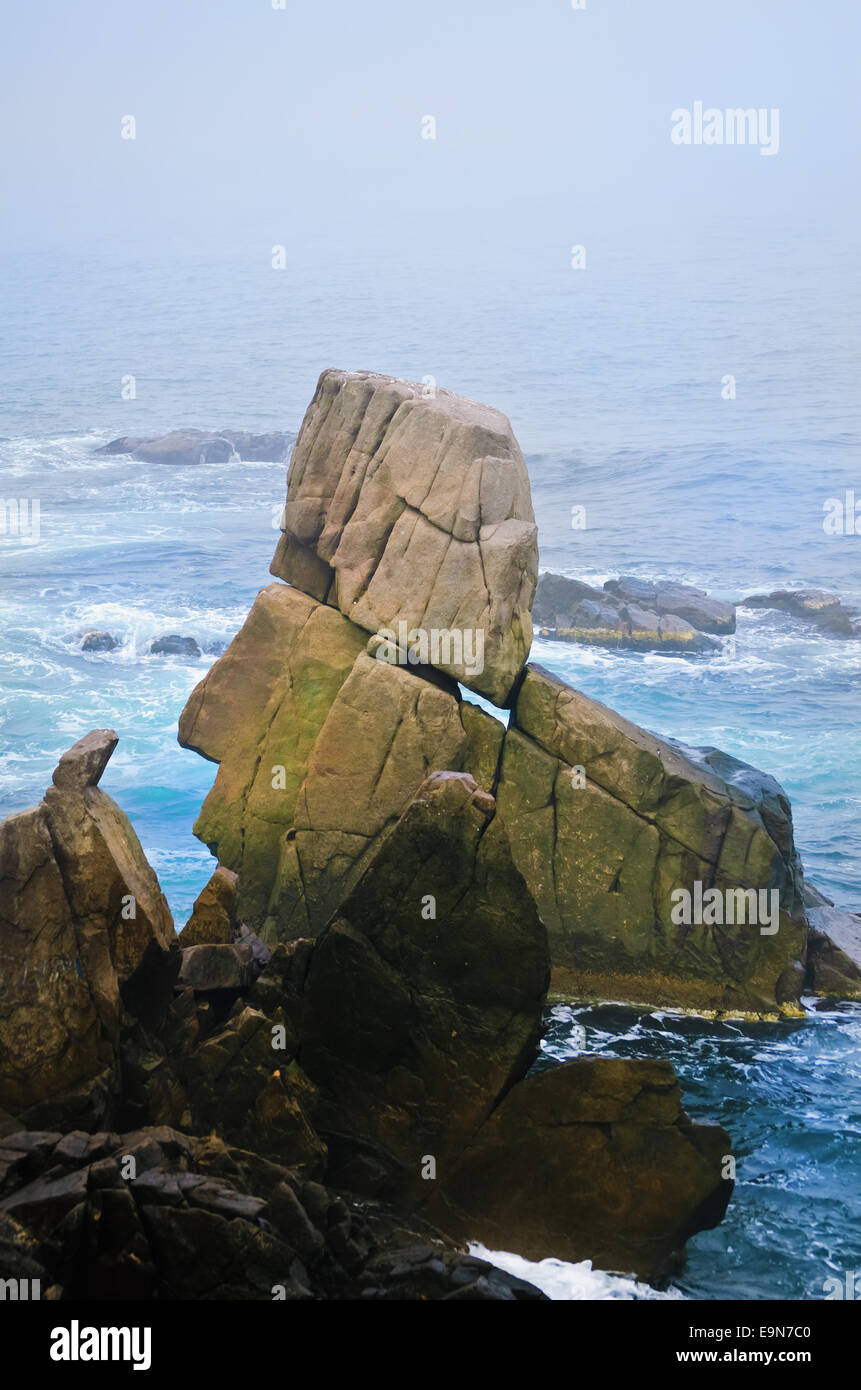 Rocks ecosystem hi-res stock photography and images - Alamy