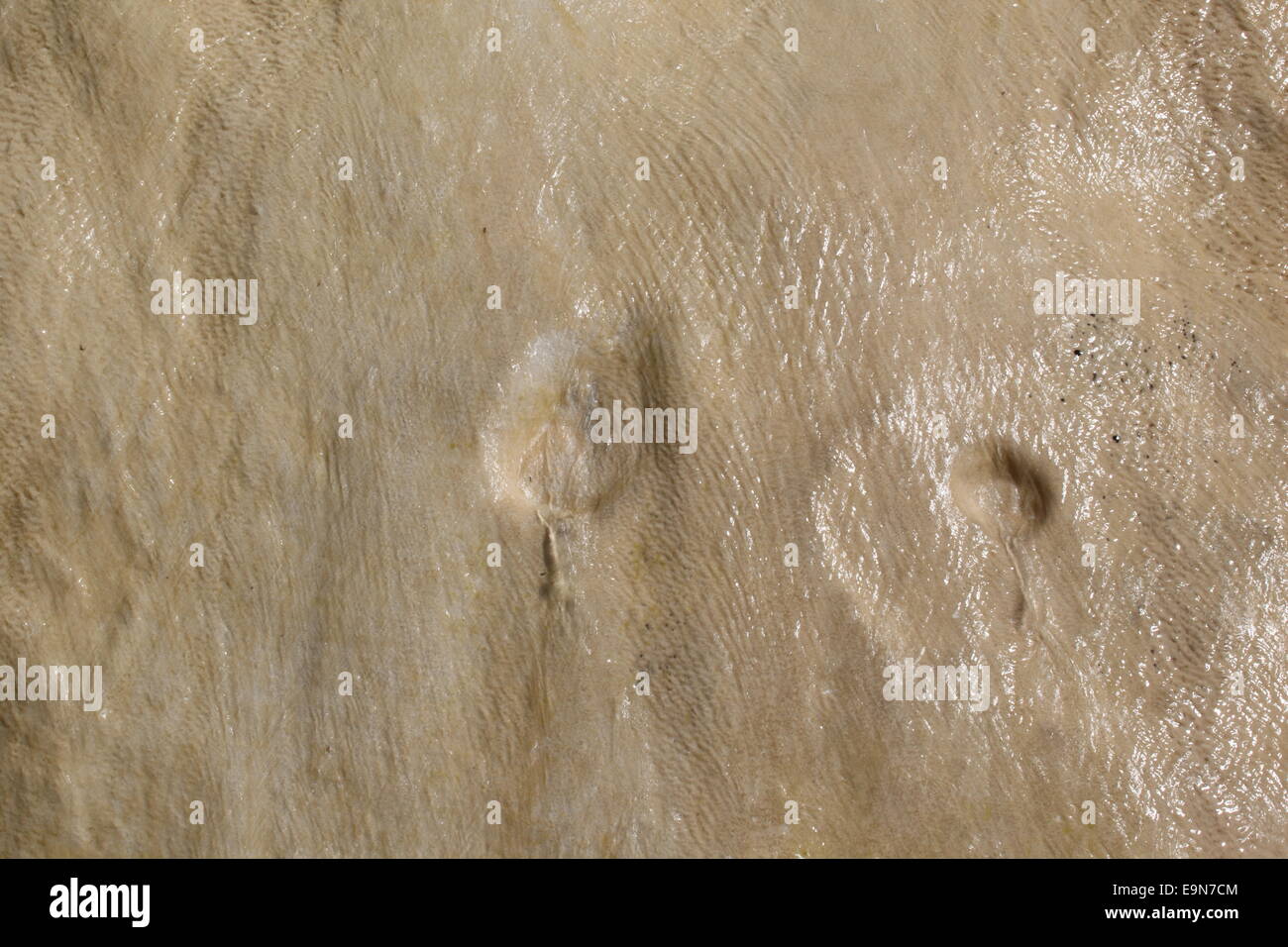 Travertine,Lingenau,calc-sinter Stock Photo