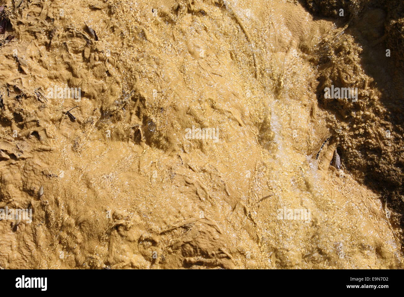 Travertine hill, Lingenau,calc-sinter Stock Photo