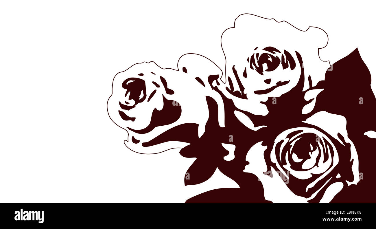 roses on a white background - illustration Stock Photo