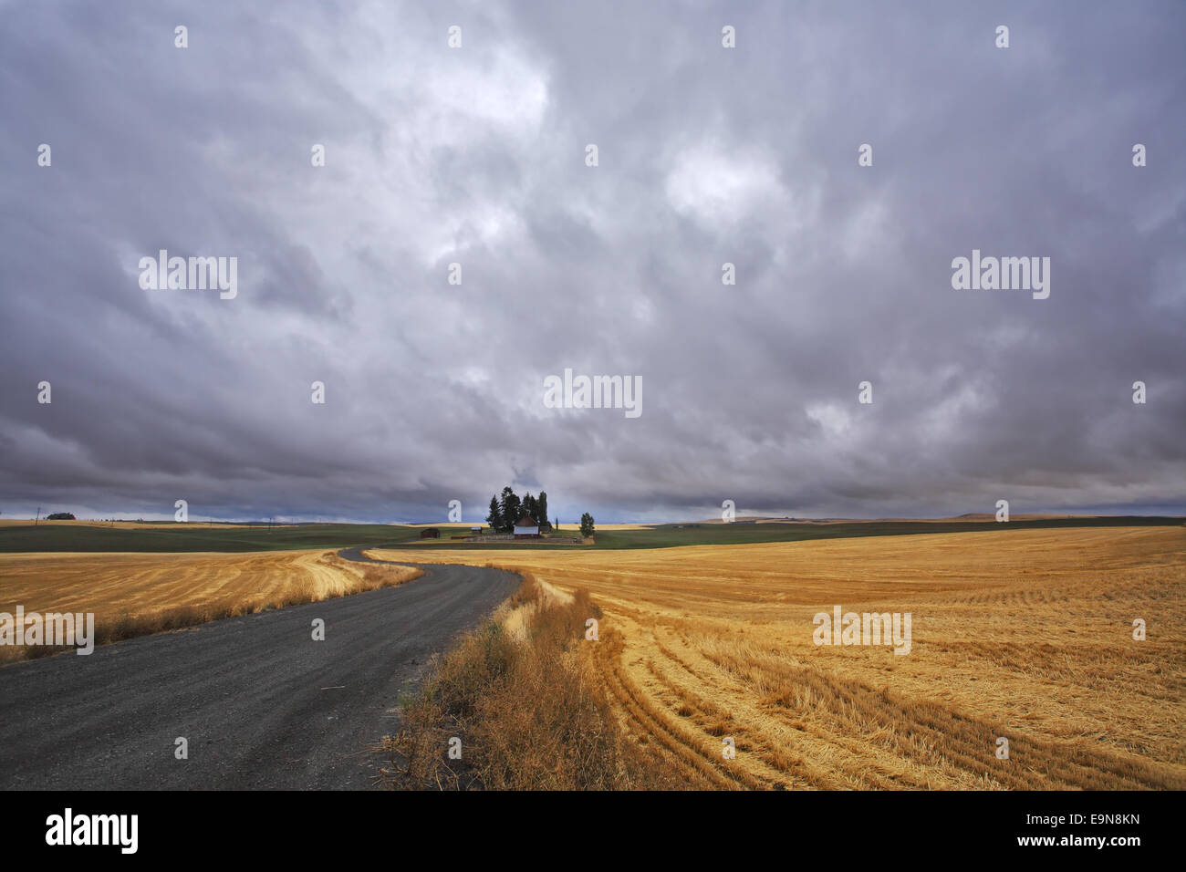 Fields after harvest and road Stock Photo - Alamy