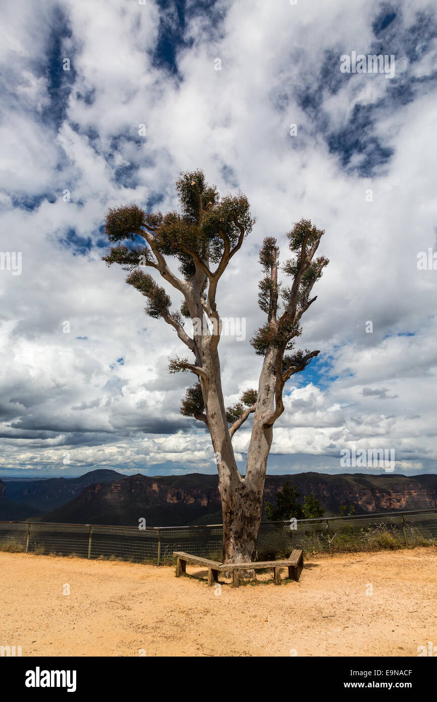 Blue mountains valley hi-res stock photography and images - Alamy