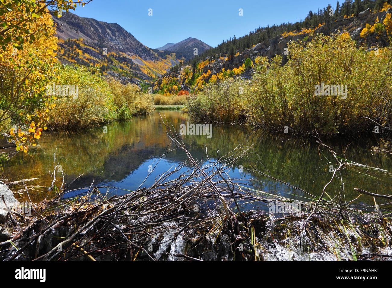 Creek in wilderness hi-res stock photography and images - Alamy