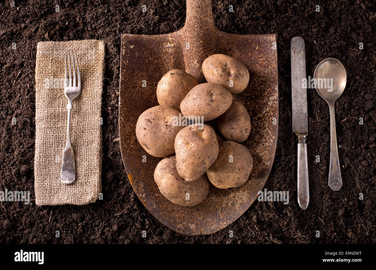 Organic farm to table healthy eating concept on soil background. Stock Photo