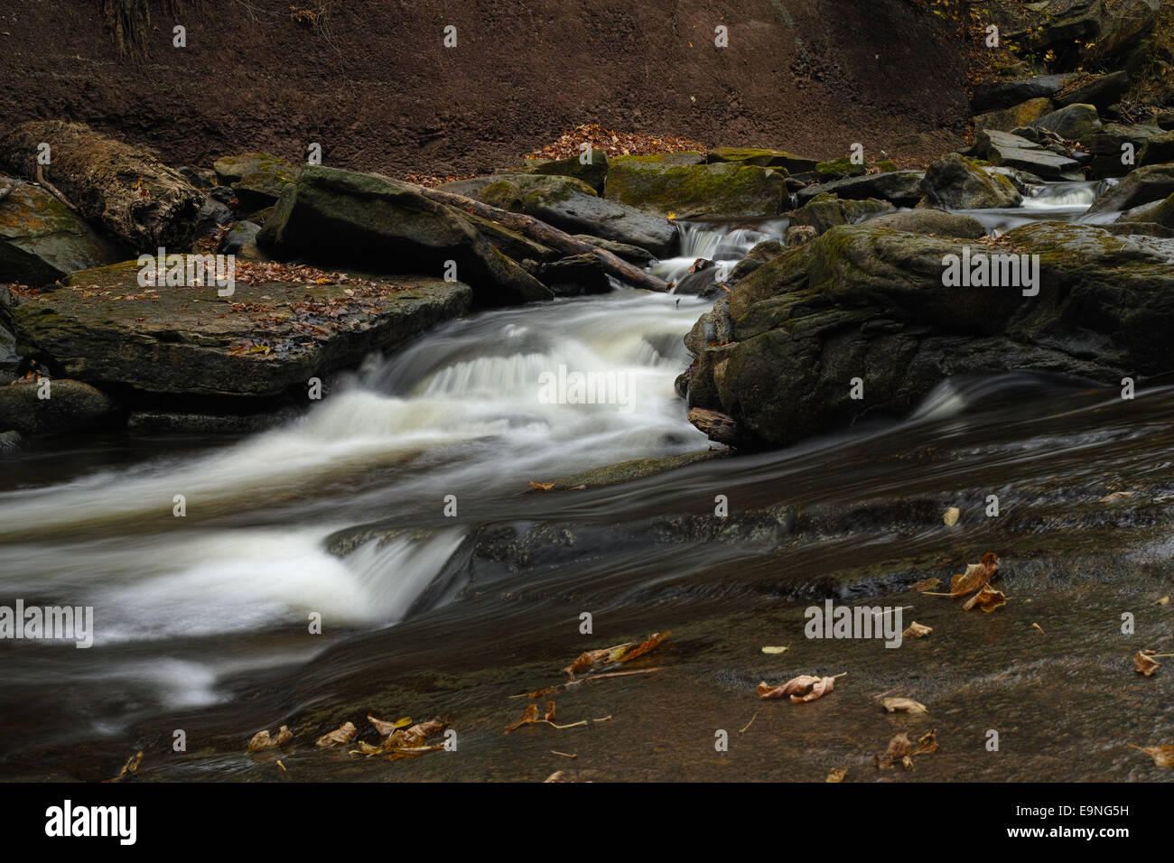 Cold flowing water meanders through ancient rock in the Niagara Escarpment. Stock Photo