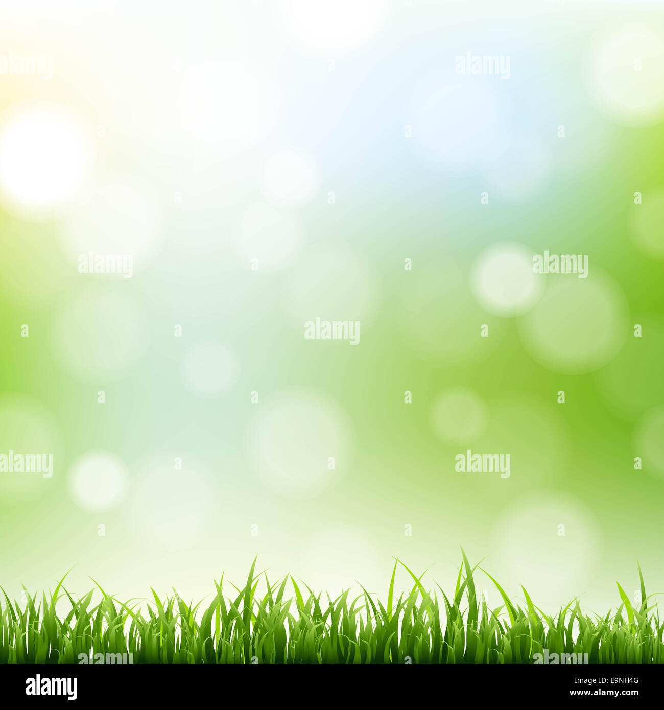 Grass Border With Bokeh Background Stock Photo - Alamy