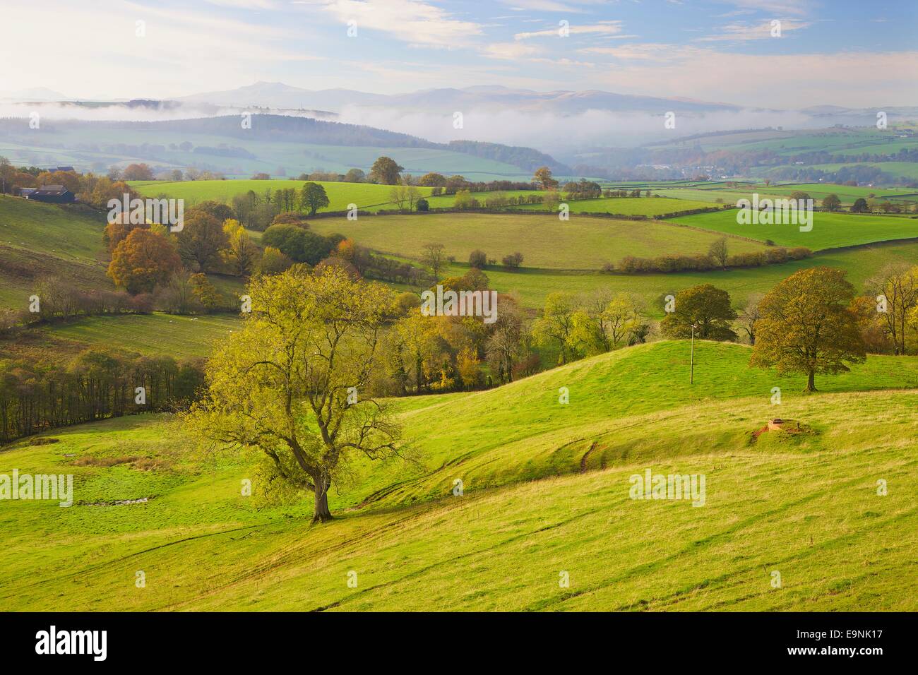 Ainstable hi-res stock photography and images - Alamy