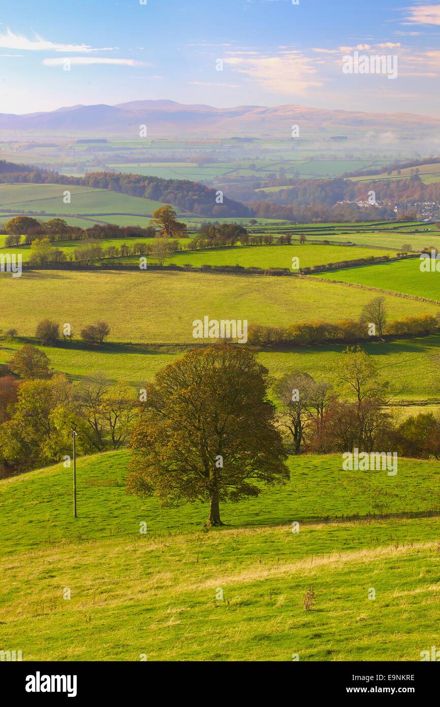 Rural daylight trees and tourism hi-res stock photography and images ...