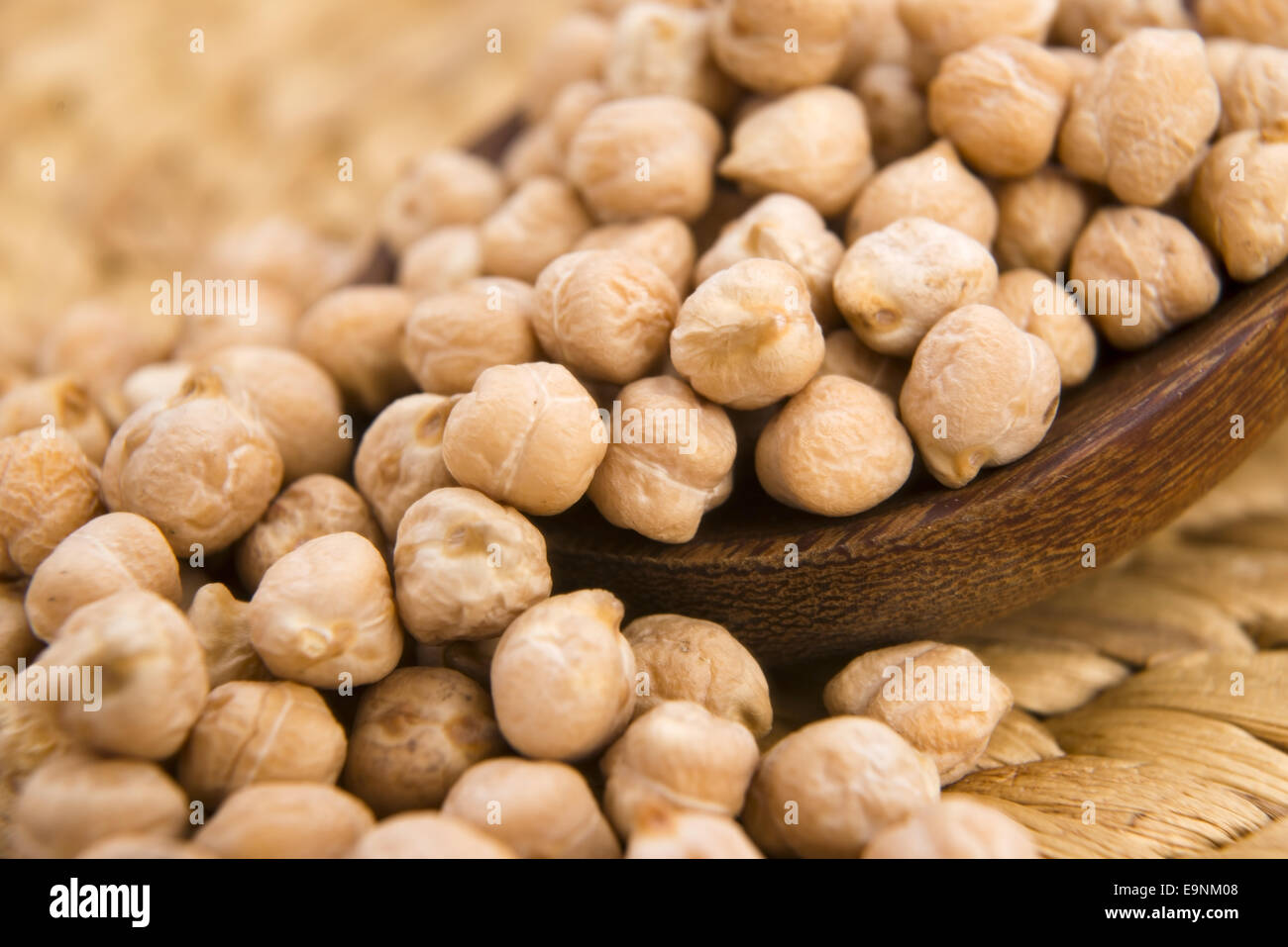 Нут животное. Полевой нут. Нут chickpeas. Нут приво 1. Нут нут пингвин.