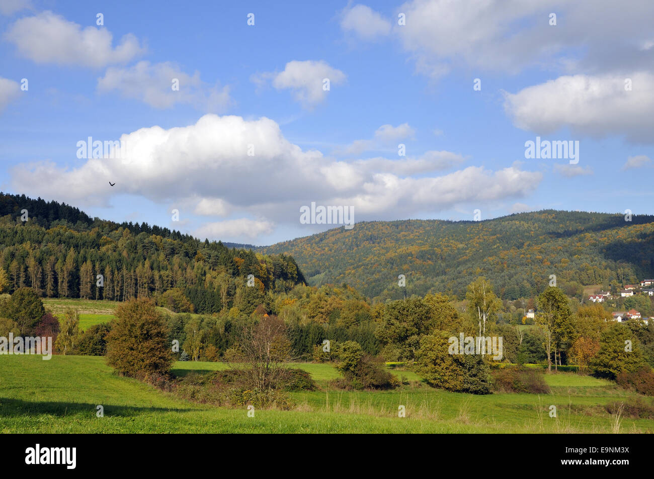 Bavarian forest Stock Photo