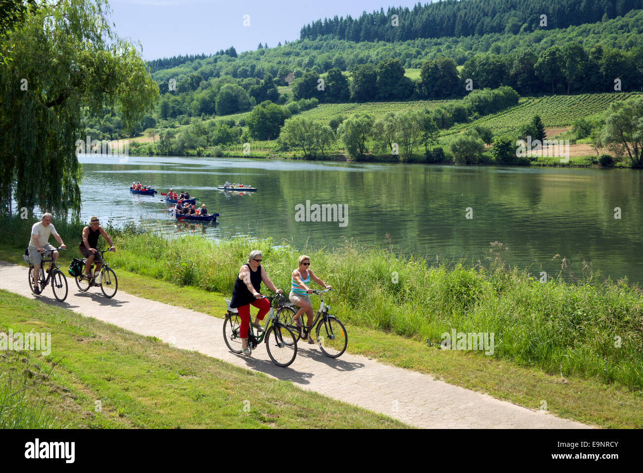 Cyclists on cycle path Moselle River near Zell Moselle Valley Germany Stock Photo