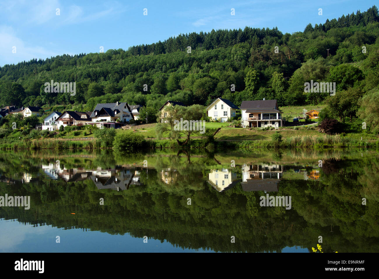 Moselle River in morning light Zell Moselle Valley Germany Stock Photo