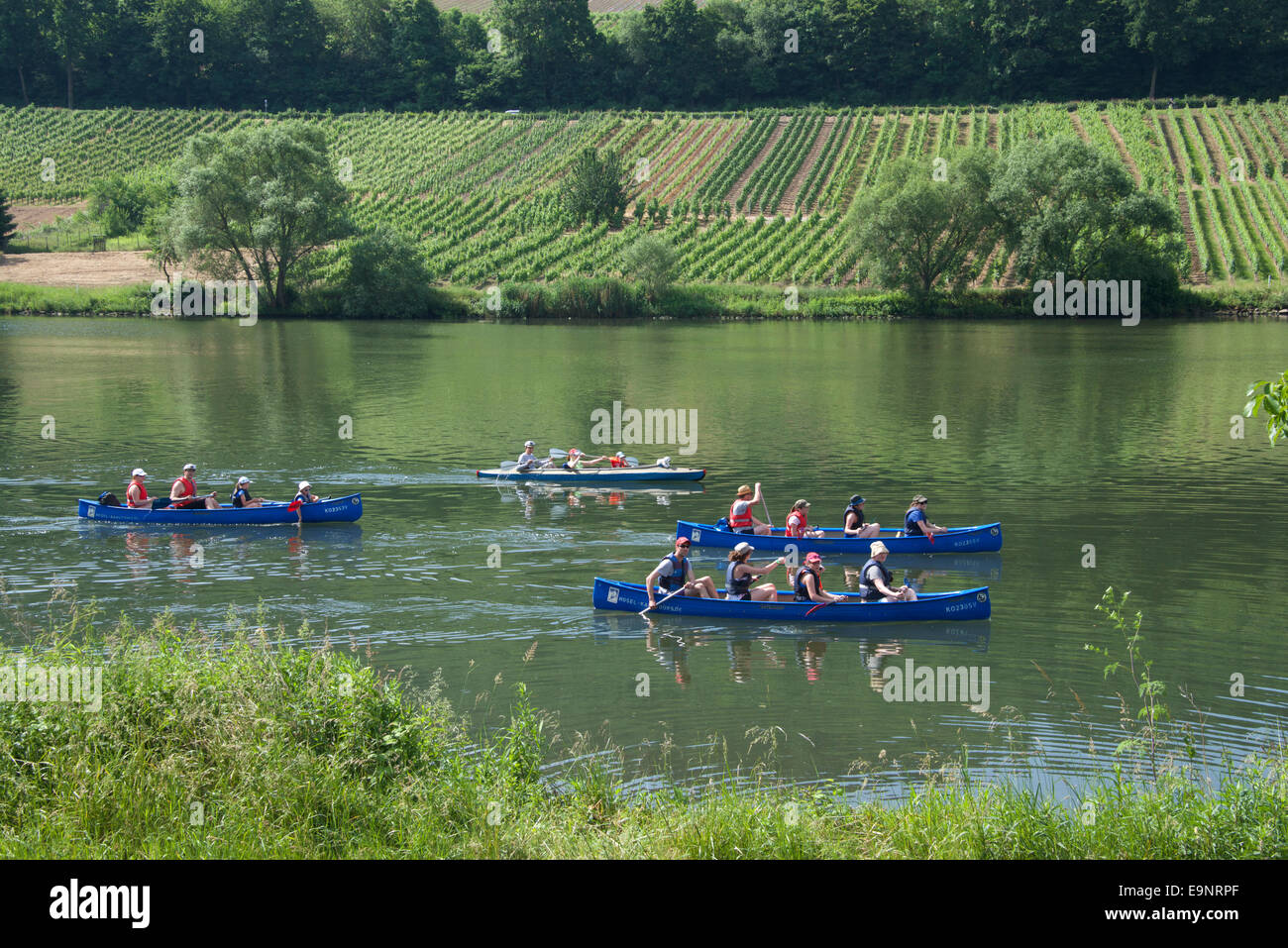 Paddling canoes Moselle River near Zell Moselle Valley Germany Stock Photo