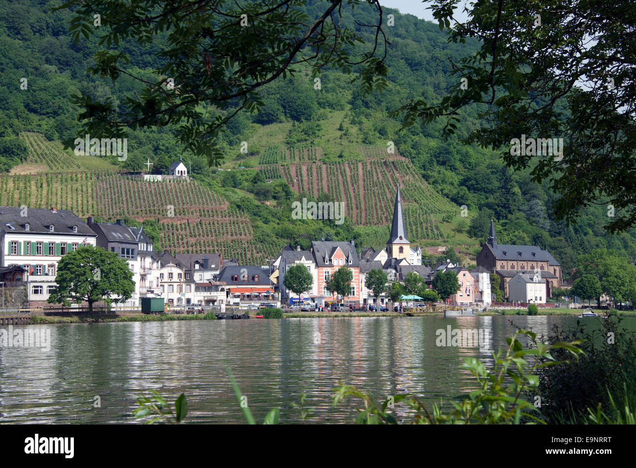 River frontage Marienburg Moselle River Moselle Valley Germany Stock Photo