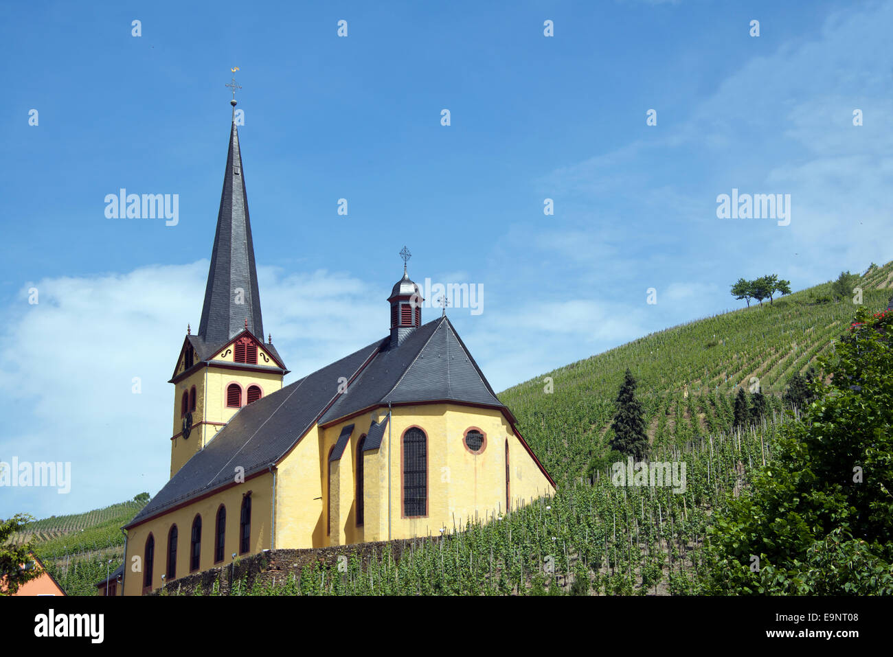 Zeltingen Church surrounded by vineyards Moselle Valley Germany Stock Photo