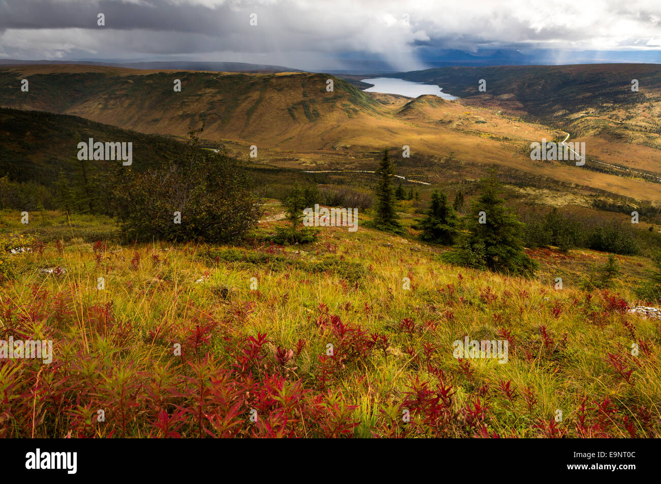 Denali National Park, U.S.A Stock Photo