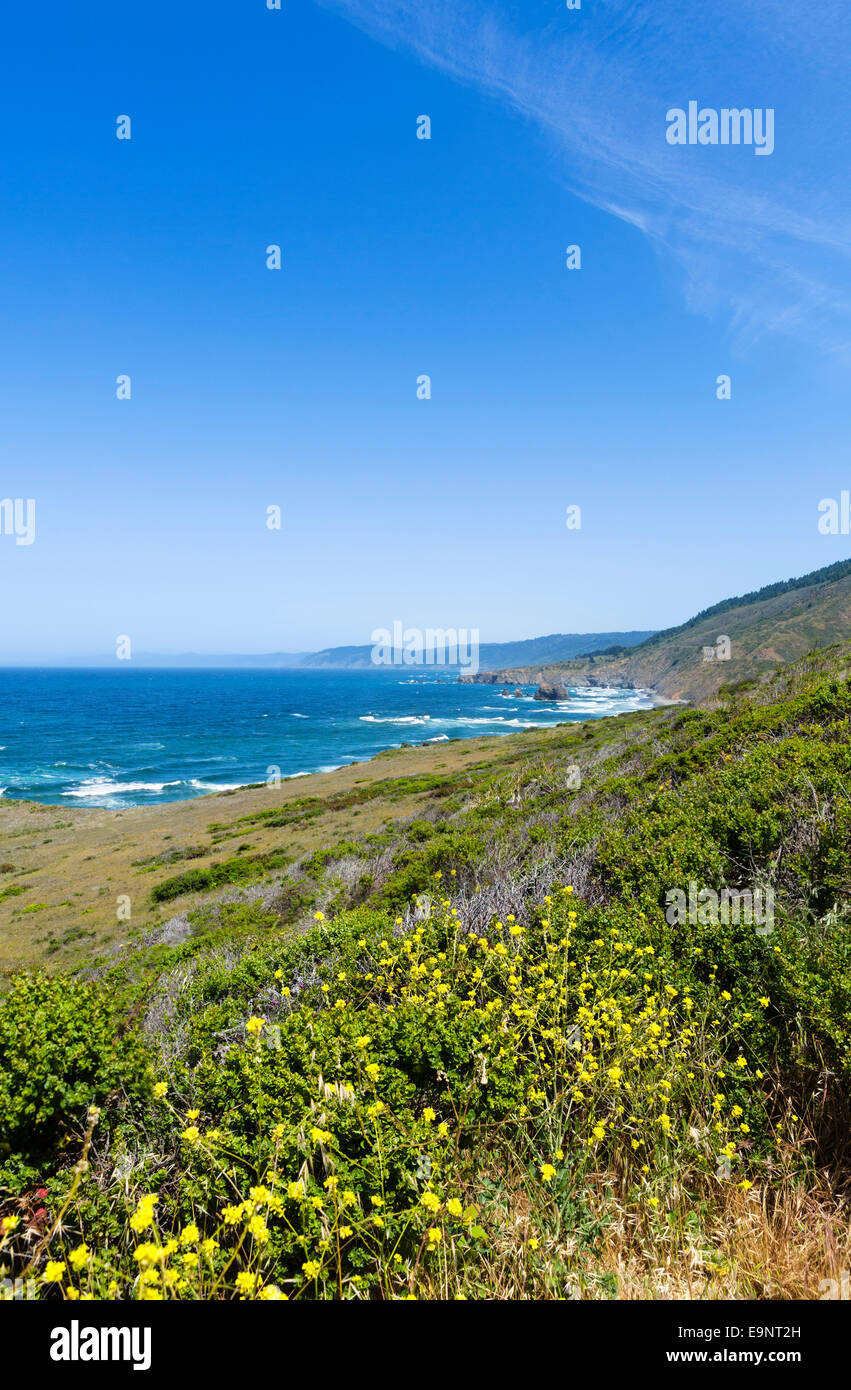 Coast along State Route 1 just north of Fort Bragg, Mendocino County, Northern California, USA Stock Photo