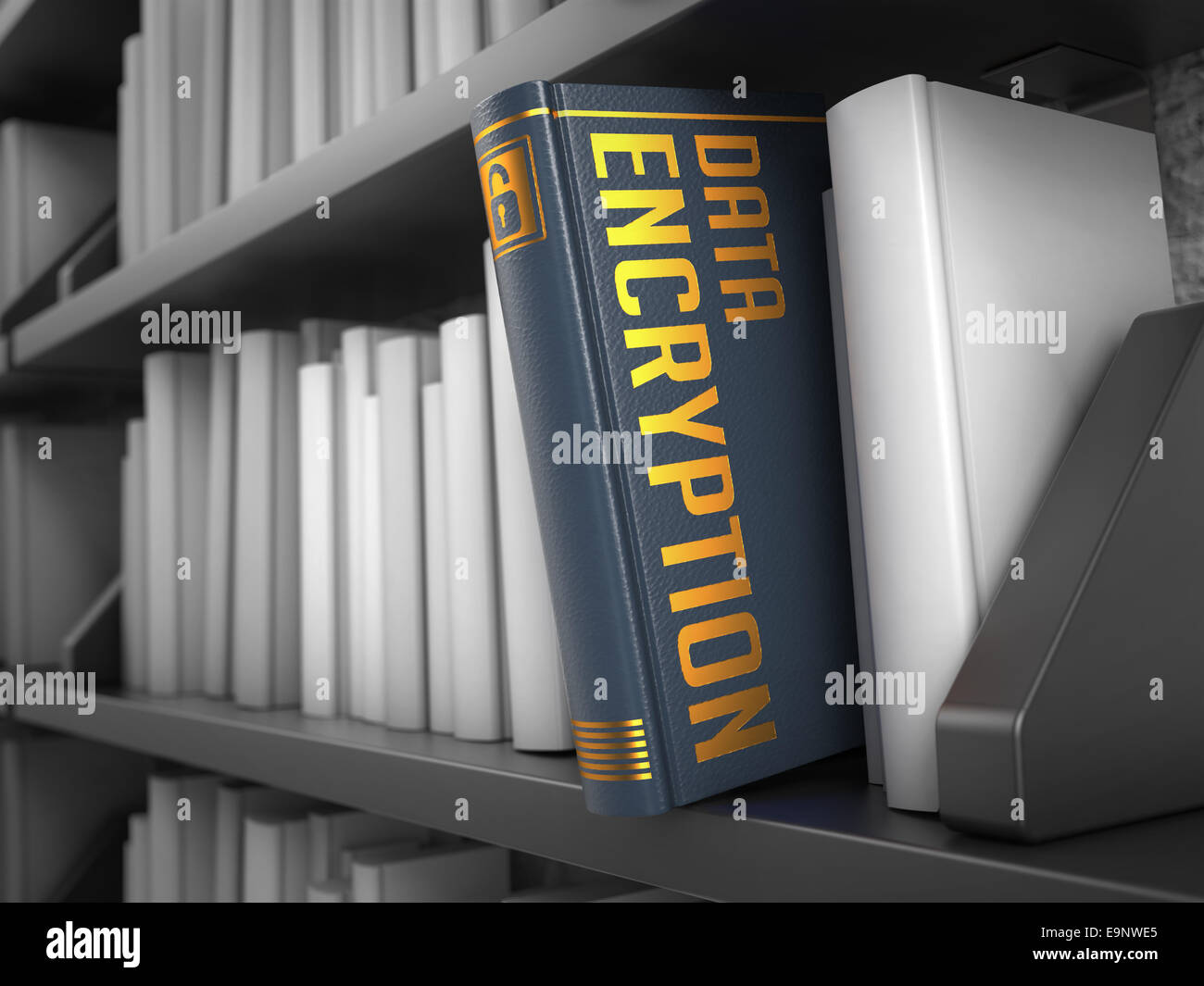 Data Encryption - Title of Book Stock Photo - Alamy