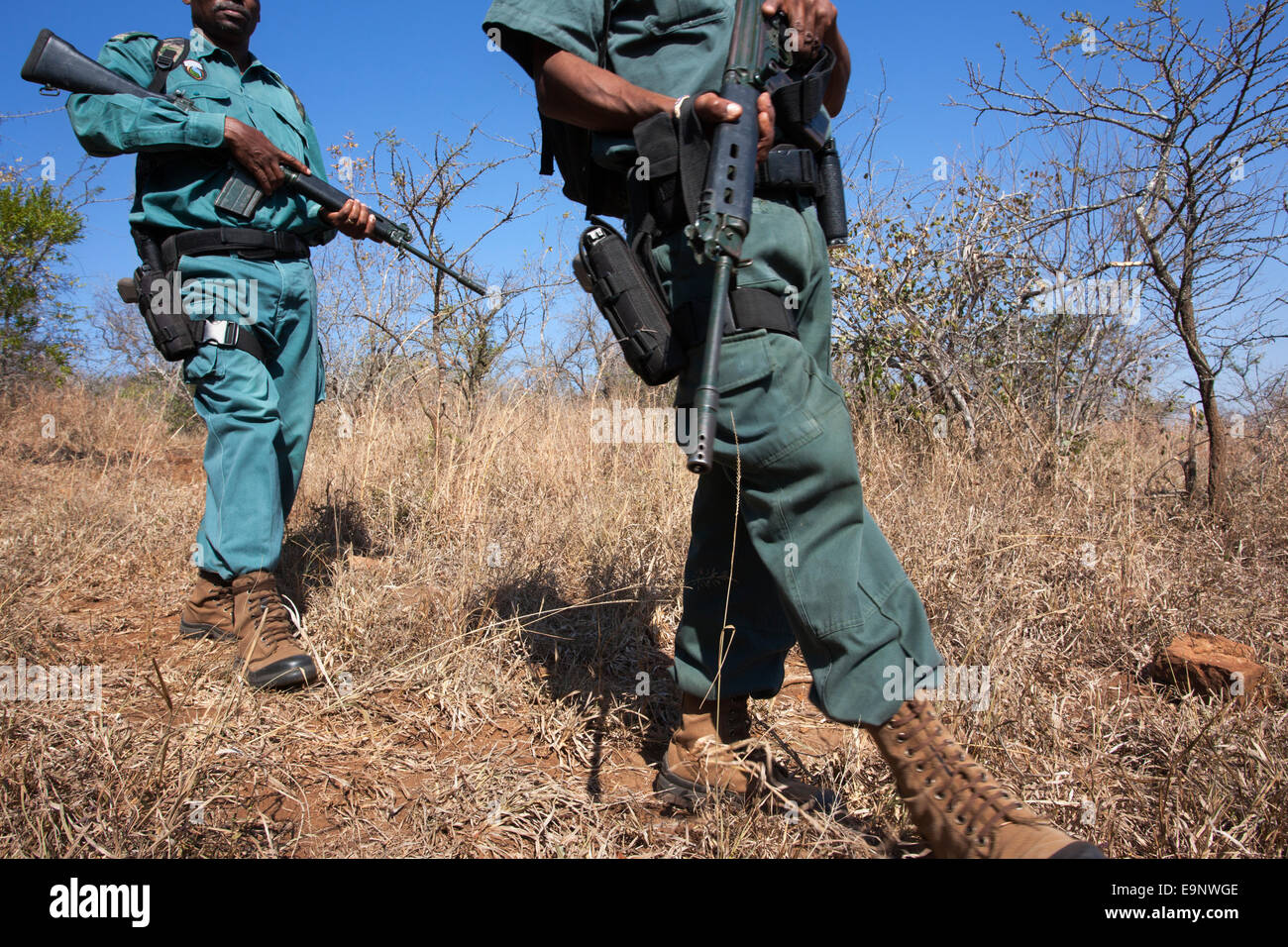 Anti-poaching unit on patrol in the bush, Ezemvelo KZN Wildlife, iMfolozi game reserve, KwaZulu-Natal, South Africa Stock Photo