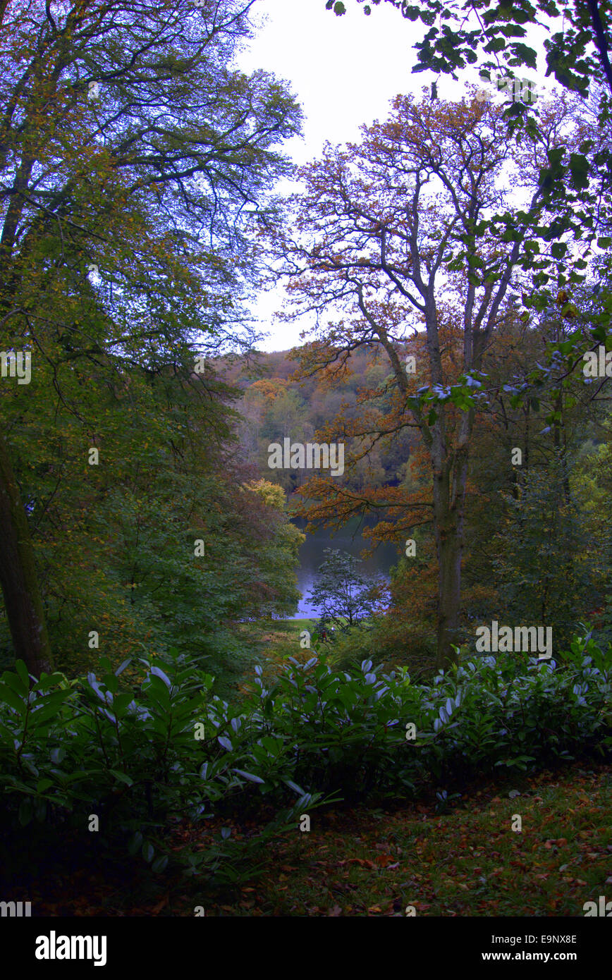 A taste of Autumn/  soft, muted colours of autumn   trees like acers, beech, tulip tree, oaks, sweet chestnuts Stock Photo