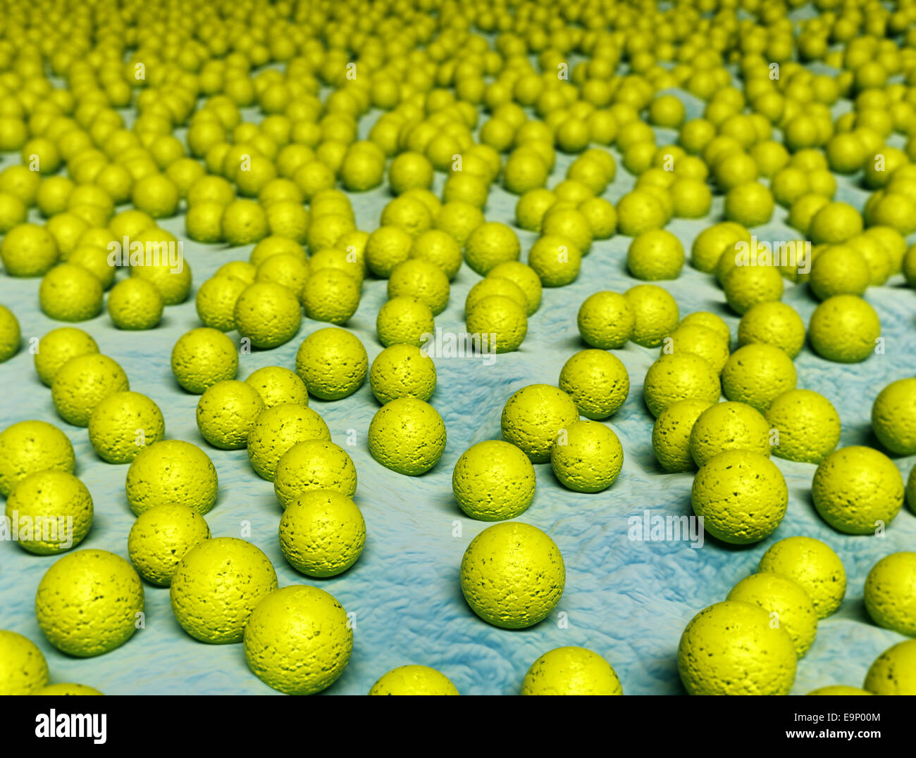staphylococcus bacteria infection Stock Photo