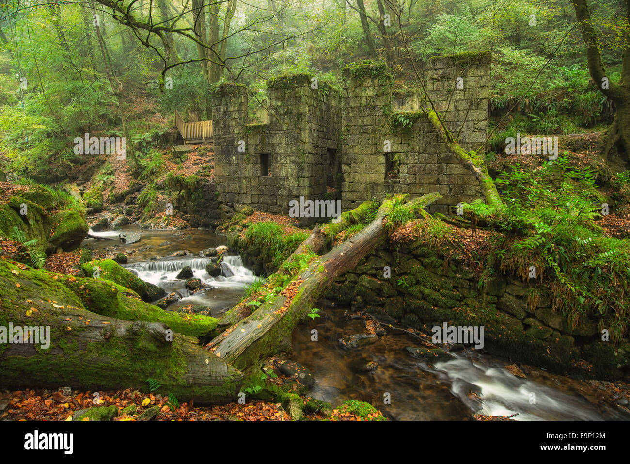 Ponsanooth woods hires stock photography and images Alamy